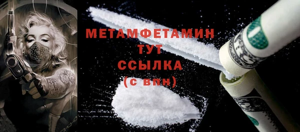 прущие грибы Медногорск