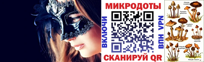 Псилоцибиновые грибы прущие грибы  Северодвинск 